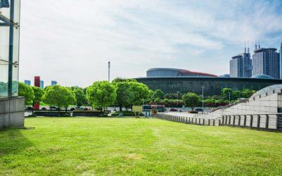 Transform Your Commercial Property with Synthetic Grass